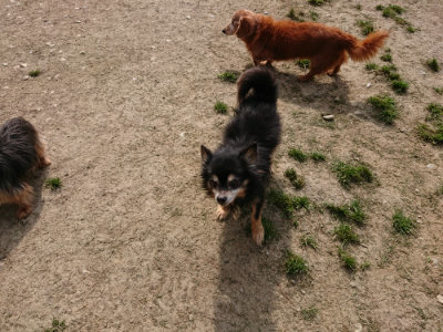 f:id:roukenhome-ann:20190407150123j:plain