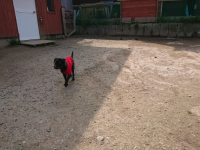 f:id:roukenhome-ann:20190407150134j:plain