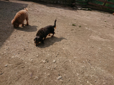 f:id:roukenhome-ann:20190407150250j:plain