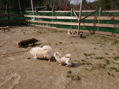 f:id:roukenhome-ann:20190407150308j:plain