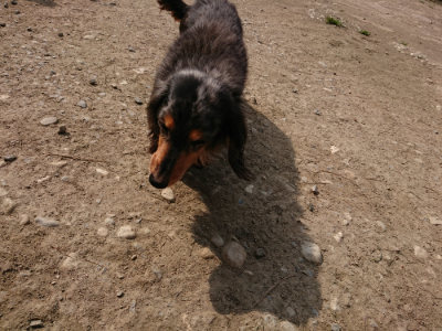 f:id:roukenhome-ann:20190407150341j:plain