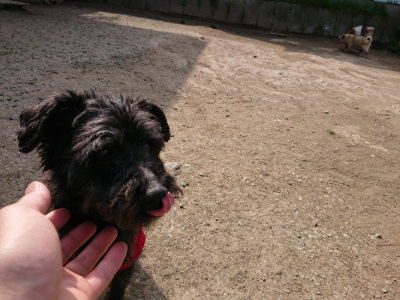 f:id:roukenhome-ann:20190407151513j:plain