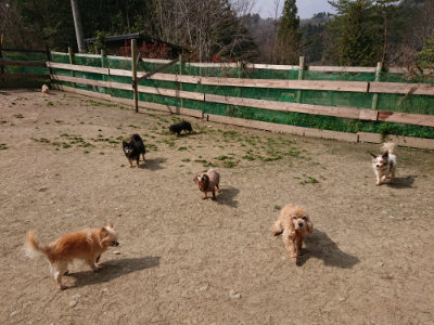 f:id:roukenhome-ann:20190407151539j:plain
