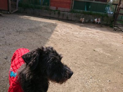 f:id:roukenhome-ann:20190407151601j:plain