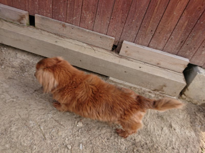 f:id:roukenhome-ann:20190407151619j:plain