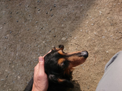 f:id:roukenhome-ann:20190407151624j:plain