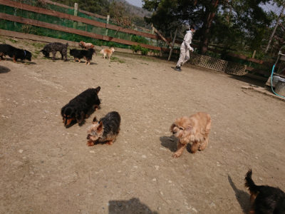 f:id:roukenhome-ann:20190407151636j:plain