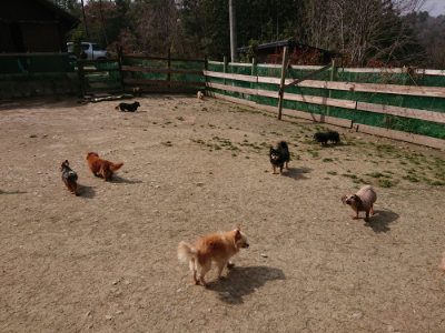 f:id:roukenhome-ann:20190407151640j:plain