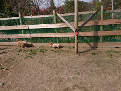 f:id:roukenhome-ann:20190407151647j:plain