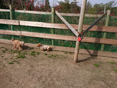 f:id:roukenhome-ann:20190407151658j:plain