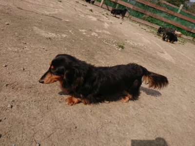 f:id:roukenhome-ann:20190407151707j:plain