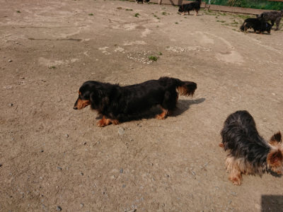 f:id:roukenhome-ann:20190407151802j:plain