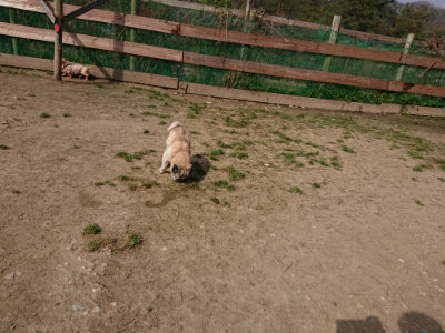 f:id:roukenhome-ann:20190407151815j:plain