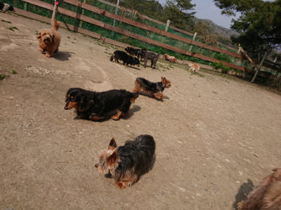 f:id:roukenhome-ann:20190407151828j:plain