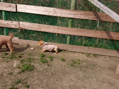 f:id:roukenhome-ann:20190407151847j:plain