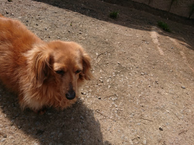 f:id:roukenhome-ann:20190407151853j:plain