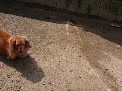 f:id:roukenhome-ann:20190407151921j:plain