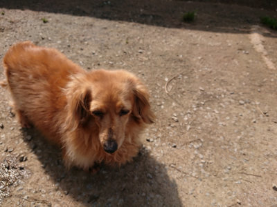 f:id:roukenhome-ann:20190407151928j:plain