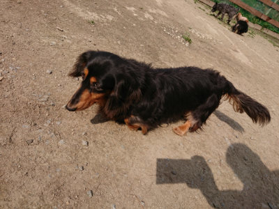 f:id:roukenhome-ann:20190407152013j:plain