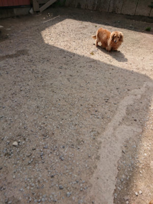 f:id:roukenhome-ann:20190407152020j:plain
