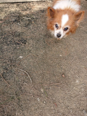 f:id:roukenhome-ann:20190407152026j:plain