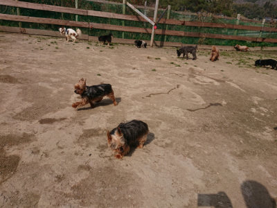 f:id:roukenhome-ann:20190407152051j:plain