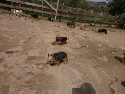 f:id:roukenhome-ann:20190407152114j:plain