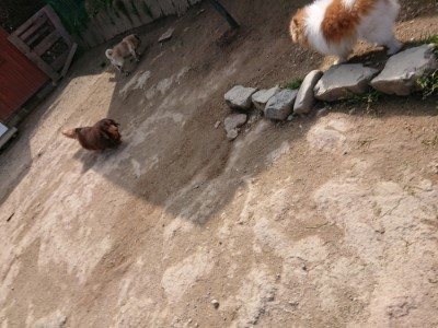 f:id:roukenhome-ann:20190407152126j:plain