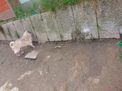f:id:roukenhome-ann:20190407180709j:plain