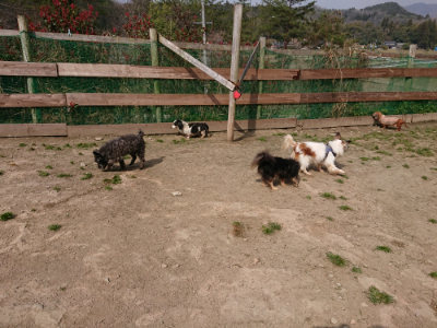 f:id:roukenhome-ann:20190407180730j:plain