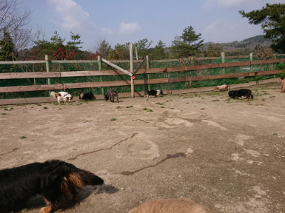 f:id:roukenhome-ann:20190407180746j:plain