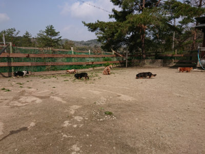 f:id:roukenhome-ann:20190407180755j:plain