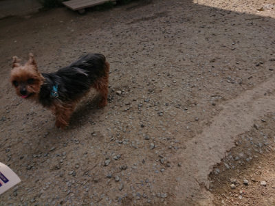 f:id:roukenhome-ann:20190407180806j:plain