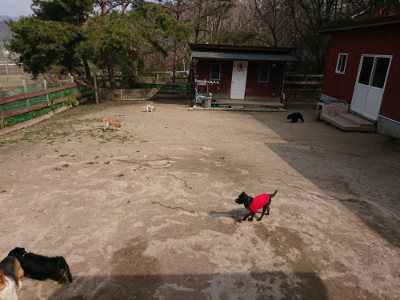 f:id:roukenhome-ann:20190407180843j:plain