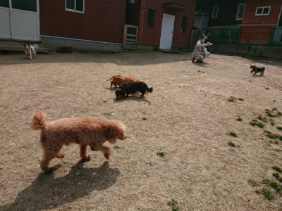 f:id:roukenhome-ann:20190407180854j:plain
