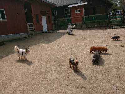 f:id:roukenhome-ann:20190407180922j:plain