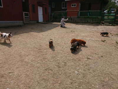 f:id:roukenhome-ann:20190407180947j:plain