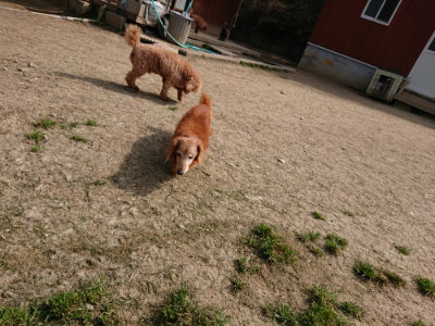 f:id:roukenhome-ann:20190407181017j:plain