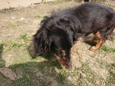 f:id:roukenhome-ann:20190407181034j:plain