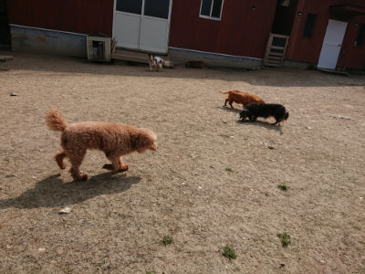 f:id:roukenhome-ann:20190407181103j:plain