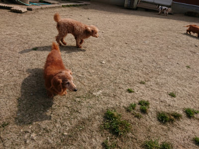 f:id:roukenhome-ann:20190407181136j:plain