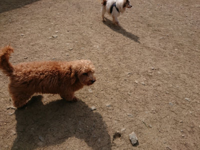 f:id:roukenhome-ann:20190407181141j:plain