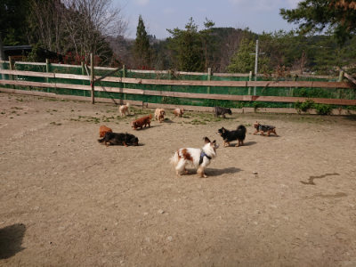 f:id:roukenhome-ann:20190407181223j:plain
