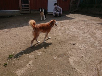 f:id:roukenhome-ann:20190407181251j:plain