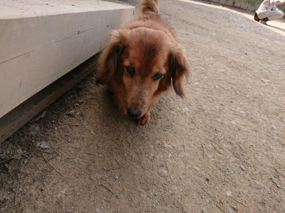 f:id:roukenhome-ann:20190407181411j:plain