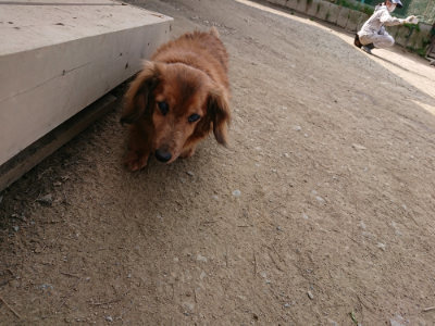 f:id:roukenhome-ann:20190407181439j:plain