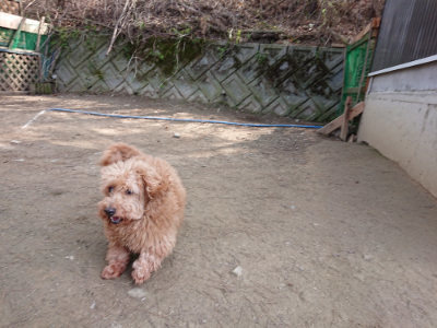 f:id:roukenhome-ann:20190407181457j:plain