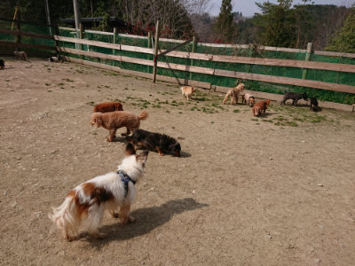 f:id:roukenhome-ann:20190407181527j:plain