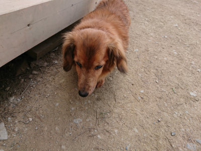 f:id:roukenhome-ann:20190407181540j:plain