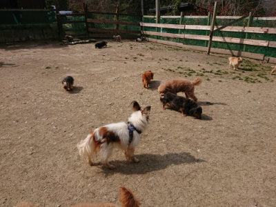 f:id:roukenhome-ann:20190407181606j:plain